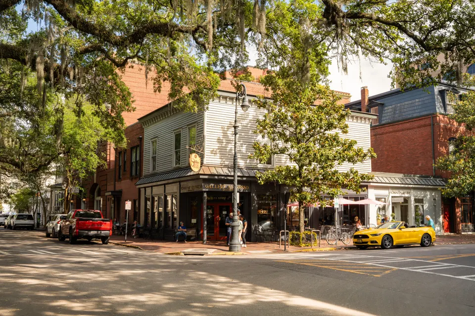 Maitland — mold removal